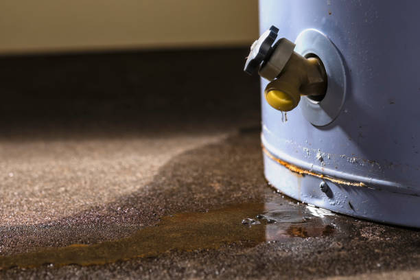 Best Flood restoration services  in Hilton Head Island, SC