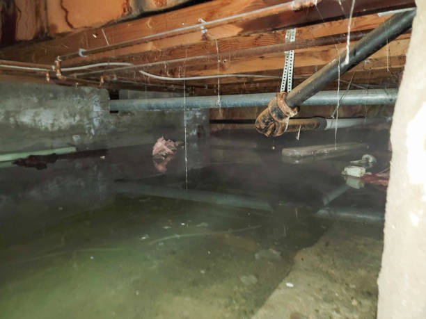 Best Commercial water damage restoration  in Hilton Head Island, SC