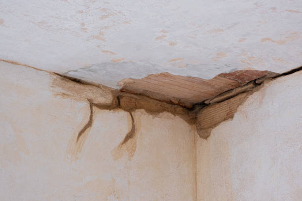 Best Fire Damage Restoration  in Hilton Head Island, SC