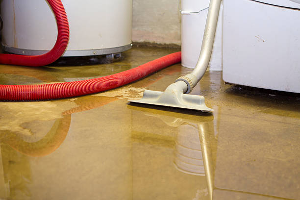 Best Residential water damage restoration  in Hilton Head Island, SC